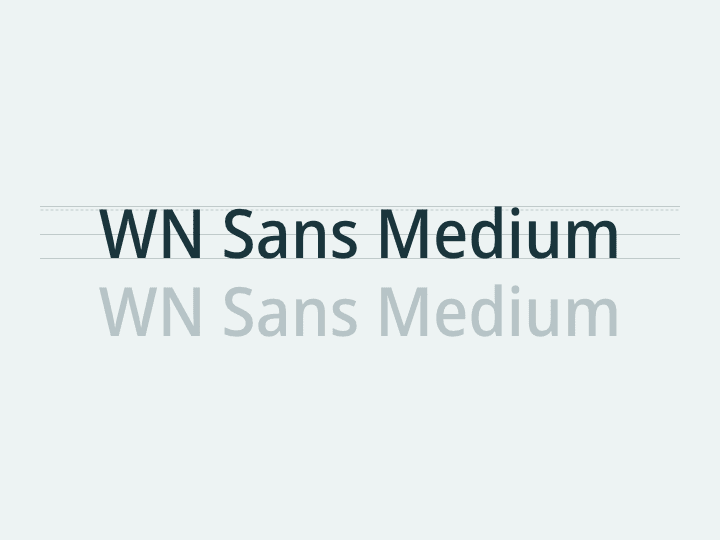 WN Sans Medium